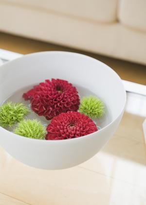 高品質なデザイナーズ家具を見つけるための完全ガイド｜特別なインテリアでライフスタイルをアップデートしよう