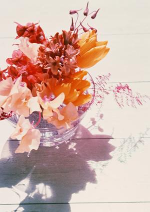 自然素材の魅力を存分に味わう！無垢板家具の魅力と選び方ランキング