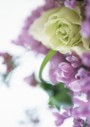 木工プロジェクトに必須！木材の選び方と加工テクニック大公開