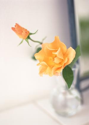 時代に対応する作品を生み出す岩谷堂箪笥