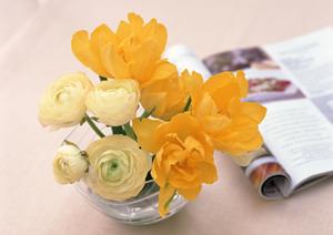 命を守るレースカーテンもあります